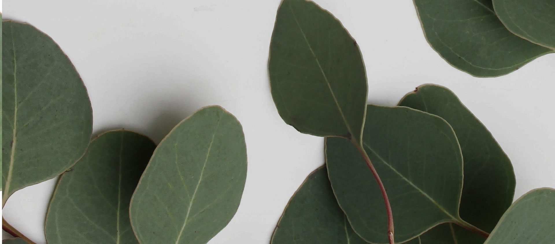 Взыскание ущерба от экологических правонарушений в Белом Яре