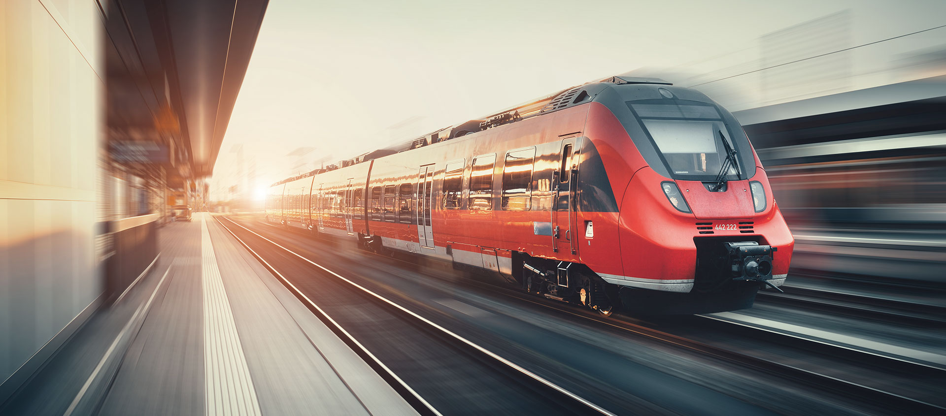 Услуги таможенного юриста в Белом Яре